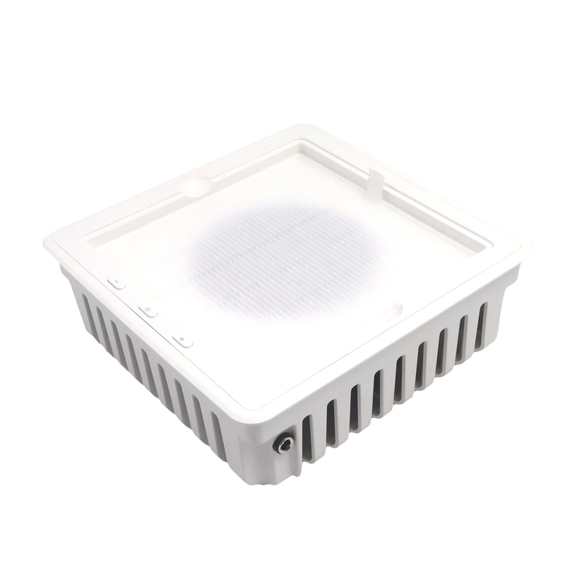 전문 손톱 먼지 추출기